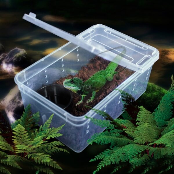 Plastic transparent reptile feeding box - Image 6