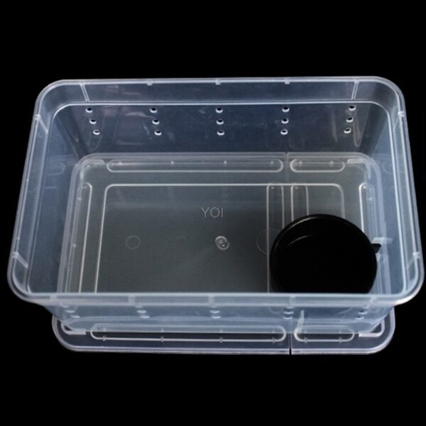 Plastic transparent reptile feeding box - Image 5