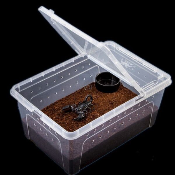 Plastic transparent reptile feeding box - Image 4