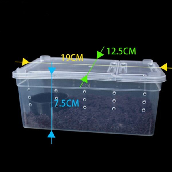 Plastic transparent reptile feeding box - Image 2